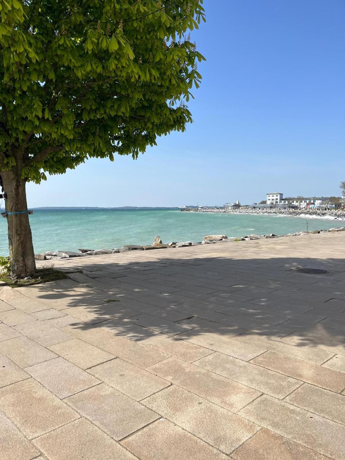 Faehrblick - Pension Direkt Am Wasser ザスニッツ エクステリア 写真