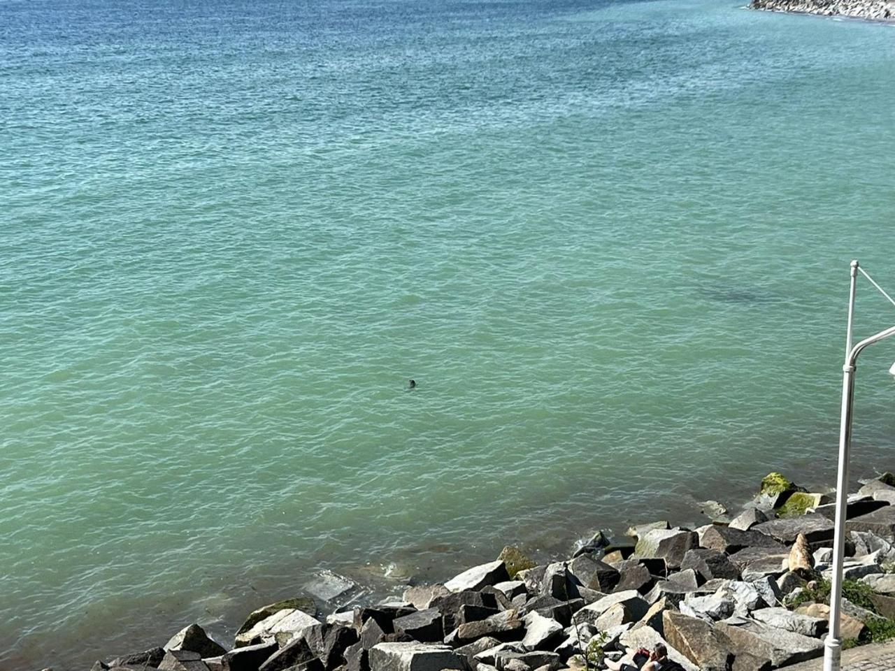 Faehrblick - Pension Direkt Am Wasser ザスニッツ エクステリア 写真